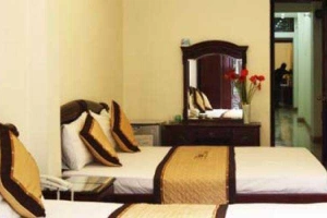 Violet Hotel 2 - Hàng Thùng