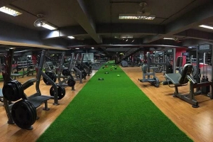 Vital Fitness & Yoga - Hoàng Hoa Thám
