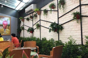 Viva Star Coffee - Thống Nhất
