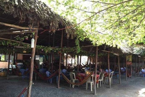 Võng Cafe - Quốc Lộ 1A