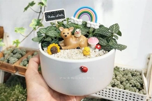 Vườn của mẹ