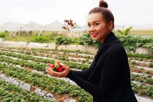 Vườn Dâu Nguyễn Lâm Thanh