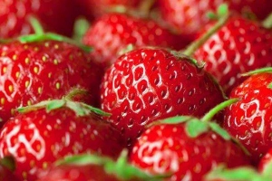 Vườn Dâu - Vườn Hoa Đà Lạt