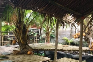 Vườn Dừa 2 Màu - Vườn Trái Cây