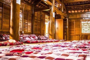 Vườn Hoa Lan Dâu Tây - Tham Quan & Homestay