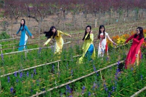 Vườn Hoa Quảng Bá