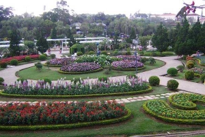 Vườn Hoa Thành Phố Đà Lạt