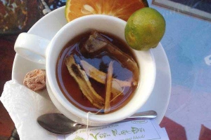 Vườn Nhiệt Đới Cafe