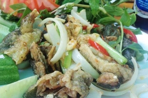 Quán Ăn Vườn Nướng Kim Bồng - Phương Sài