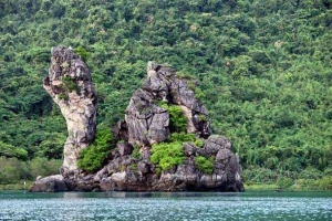 Vườn Quốc Gia Bái Tử Long