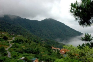 Vườn Quốc Gia Tam Đảo