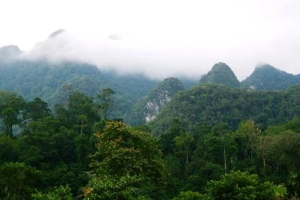 Vườn Quốc Gia Xuân Sơn