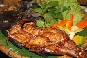 Vườn Sinh Thái Minh Tâm