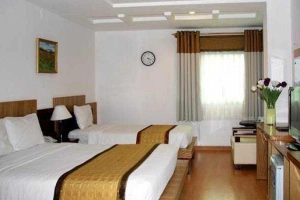 Vy Vy Hotel - Nguyễn Thái Bình