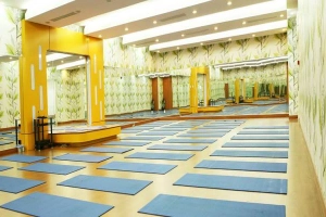 Vyoga World
