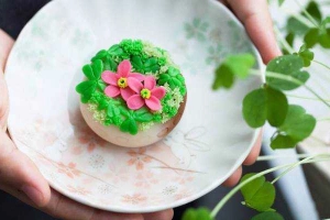 Wagashi House - Vũ Tông Phan - Shop Online
