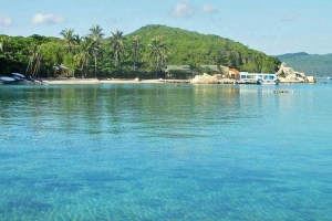 Whale Island Resort