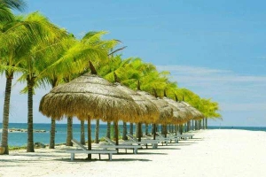 White Sand Travel