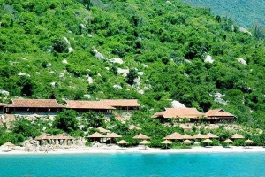 Wildbeach Resort & Spa