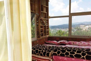 Windy Hill Coffee & Homestay