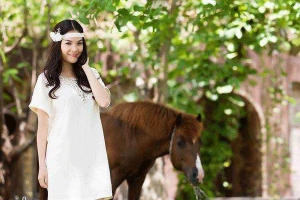 WOW Fashion - CMT8