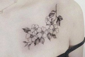 Xăm Hình Nghệ Thuật Tân Phú