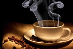 Xoài Cafe - Đỗ Trọng Vỹ