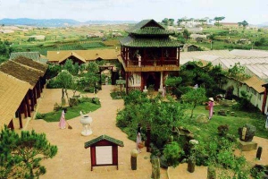 XQ Đà Lạt Sử Quán - Mai Anh Đào