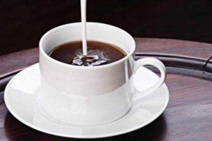 Nhà Hàng Yến Cafe