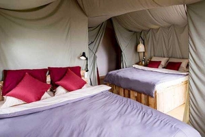 YOLO Camping House