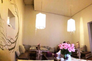 Zenith Yoga Cafe II