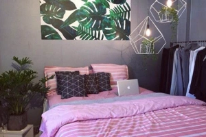 Zin Home Decor