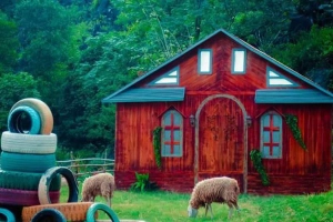 Zone22 Homestay