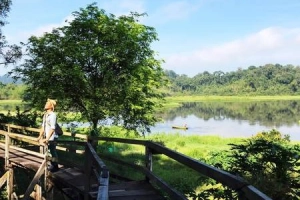 &#8216;Hành trình của lá&#8217; ở rừng Nam Cát Tiên