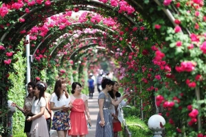 &#8220;Lạc lối&#8221; ở công viên hoa hồng Rose Park Hà Nội đầy thơ mộng