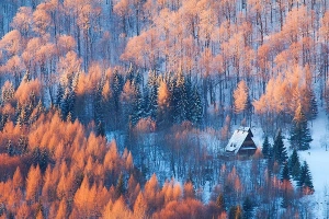 ​Lặng người vẻ đẹp nơi biên giới Ba Lan - Slovakia