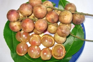 ​Mùa dâu da xuống núi