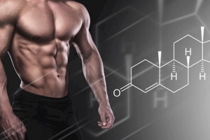 &quot;Thuốc&quot; nào tăng tetosterone cho nam giới?