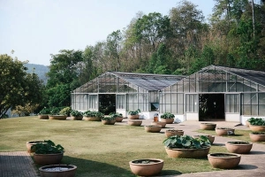 10 địa điểm tuyệt đẹp sẽ khiến bạn yêu Chiang Mai ngay từ cái nhìn đầu tiên