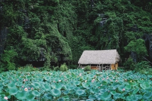 10 điểm đến mang vẻ đẹp hoang sơ cho những tín đồ yêu thiên nhiên