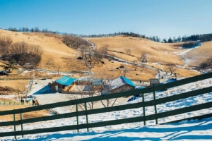10 điều thú vị về Pyeongchang, nơi tổ chức Olympic 2018