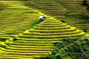 10 ngôi nhà trơ trọi giữa thiên nhiên đẹp nhất thế giới