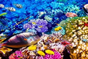 10 quốc gia lý tưởng cho mùa thu 2017