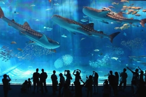 10 trải nghiệm đáng giá nhất ở Osaka 