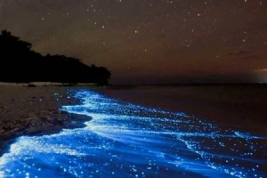 13 bãi biển đẹp như tranh dành cho người thích phiêu lưu