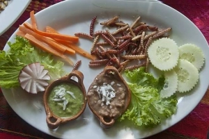 17 đặc sản địa phương khiến du khách phát hoảng
