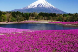 25 lý do thú vị khiến du lịch Tokyo hấp dẫn du khách