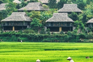 2N1Đ ở Mai Châu Ecolodge Hòa Bình + Bữa sáng chỉ 499.000 đồng/phòng