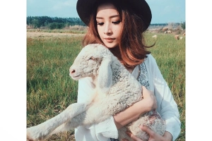 3 cánh đồng nuôi cừu ở Việt Nam, tới đây chụp kiểu gì cũng có ảnh xinh!