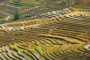 3 ngày rong ruổi Tây Bắc mùa hoa ban